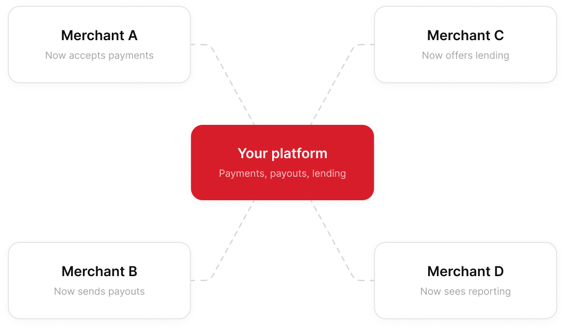 Your platform at the center providing payments, payouts, lending and reporting to merchants A, B, C and D